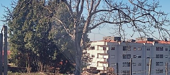 3 bedrooms House in Fanzeres, Portugal No. 28038 27