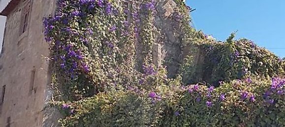 3 bedrooms House in Fanzeres, Portugal No. 28038 7