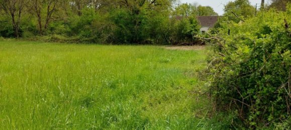 Terreno en Neuillay-les-Bois, France No. 93363 3