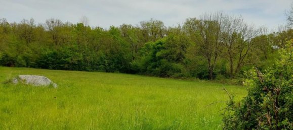 Terreno en Neuillay-les-Bois, France No. 93363 2