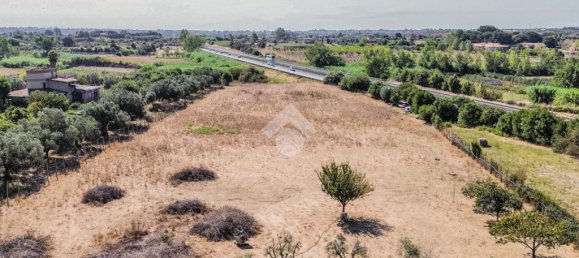 4 Schlafzimmer Villa in Cerveteri, Italy, Nr. 359955 39