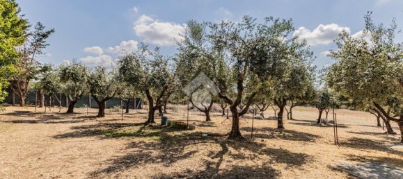 4 Schlafzimmer Villa in Cerveteri, Italy, Nr. 359955 7