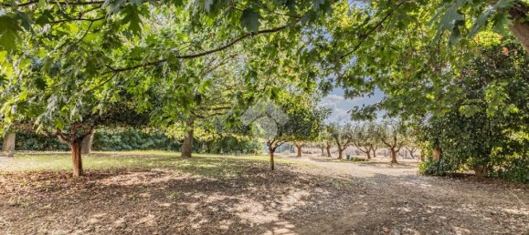 4 Schlafzimmer Villa in Cerveteri, Italy, Nr. 359955 6