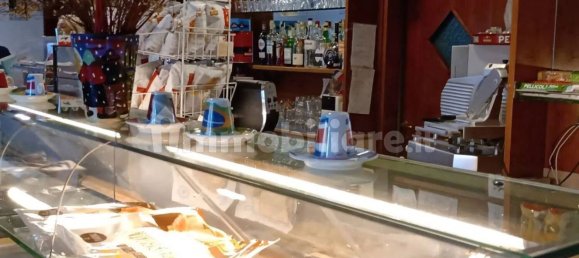 3-Zimmer Gewerbliche Immobilie in Albisola Superiore, Italy, Nr. 16358 14