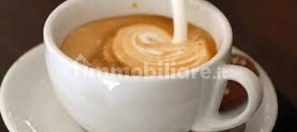 3-Zimmer Gewerbliche Immobilie in Albisola Superiore, Italy, Nr. 16358 18