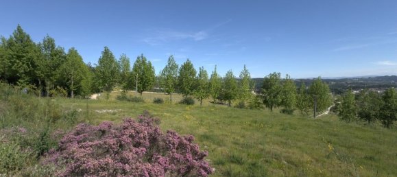 Terrain à Lousada, Portugal 5078m² No. 48218 9