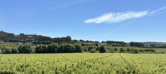 Terrain à Lousada, Portugal 5078m² No. 48218 11