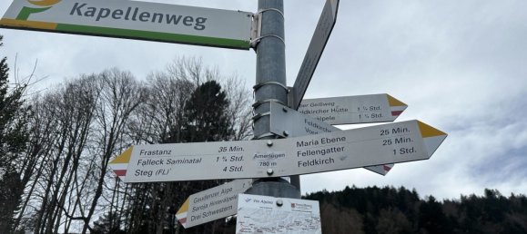  Land in Frastanz, Austria No. 81490 8