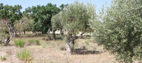 Villa de 8 dormitorios en Lecce, Italy No. 722 12