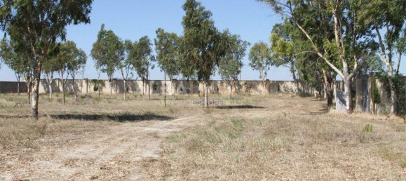 Villa de 8 dormitorios en Lecce, Italy No. 722 6