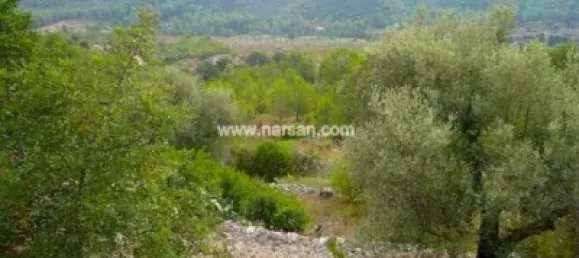 1 غرف نوم منزل في Cabanes, Spain رقم 141401 24