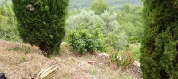 1 غرف نوم منزل في Cabanes, Spain رقم 141401 17