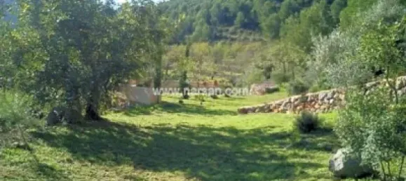 1 غرف نوم منزل في Cabanes, Spain رقم 141401 25