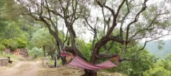 1 غرف نوم منزل في Cabanes, Spain رقم 141401 18