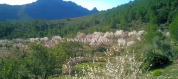 1 غرف نوم منزل في Cabanes, Spain رقم 141401 16