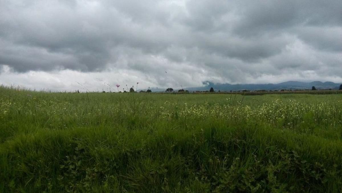 Земельный участок в Синакантепек, Мексика № 205292