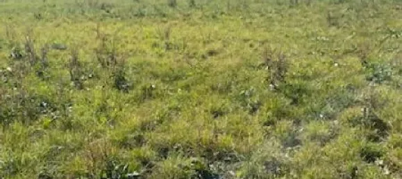 817m² Land in Jallaucourt, France No. 75454 2