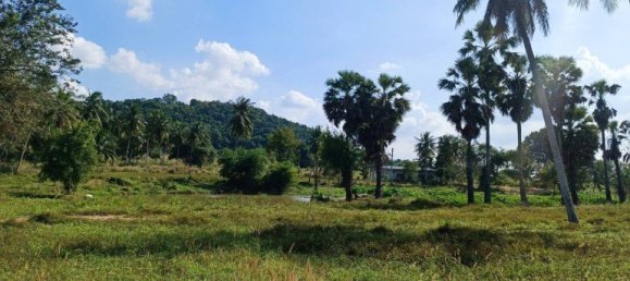 Gewerbliche Immobilie in Pattaya, Thailand, Nr. 3407 2