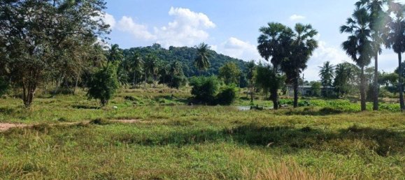 Gewerbliche Immobilie in Pattaya, Thailand, Nr. 3407 4