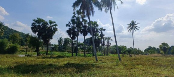 Gewerbliche Immobilie in Pattaya, Thailand, Nr. 3407 5