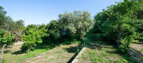 3 bedrooms Villa in Olbia, Italy No. 326962 5