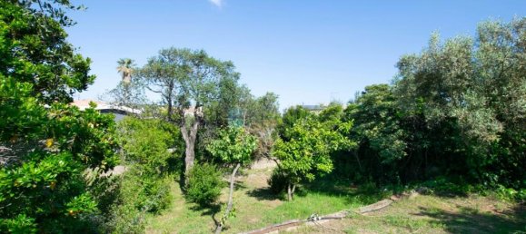 3 bedrooms Villa in Olbia, Italy No. 326962 4