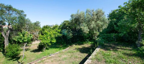 3 bedrooms Villa in Olbia, Italy No. 326962 6