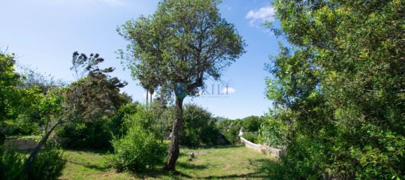 3 bedrooms Villa in Olbia, Italy No. 326962 13