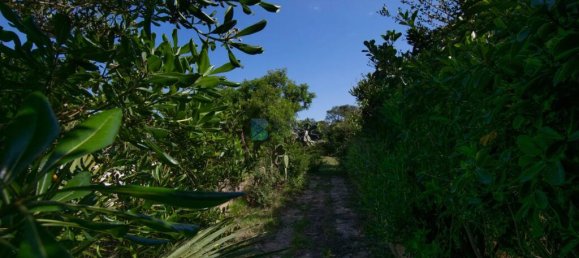 3 bedrooms Villa in Olbia, Italy No. 326962 11