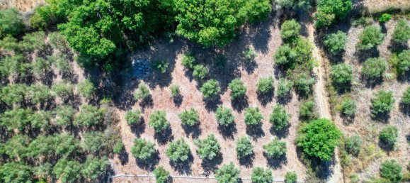 3 غرف نوم فيلا في Chania, Greece رقم 25 8
