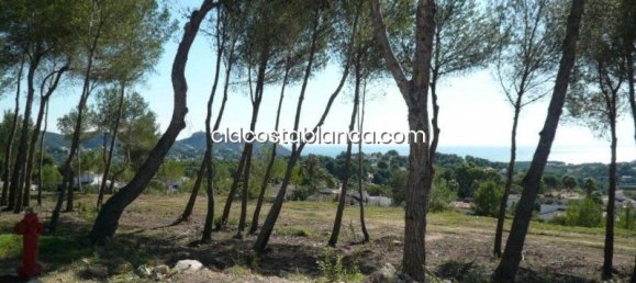 Grundstück in Moraira, Spain, Nr. 92214 6