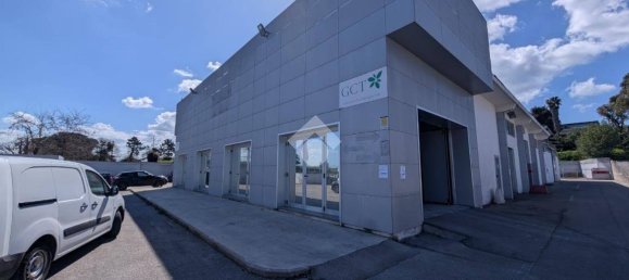 1-salle Entrepôt à Pomezia, Italy No. 52460 39