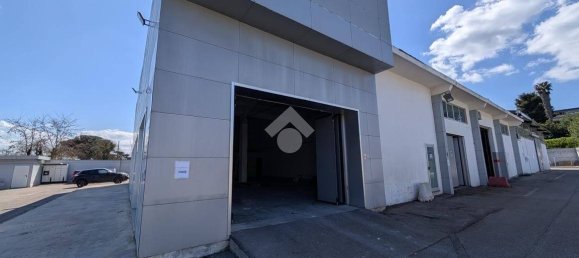 1-salle Entrepôt à Pomezia, Italy No. 52460 52