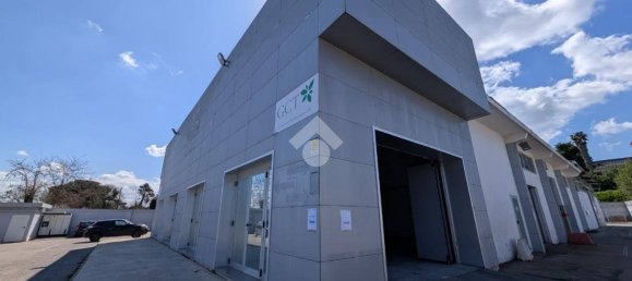 1-salle Entrepôt à Pomezia, Italy No. 52460 41