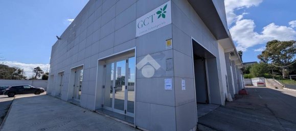 1-salle Entrepôt à Pomezia, Italy No. 52460 96