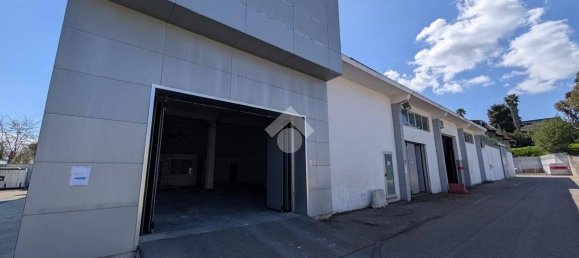 1-salle Entrepôt à Pomezia, Italy No. 52460 3