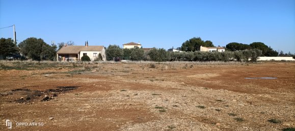 Grundstück in Ginestas, France, Nr. 104588 4