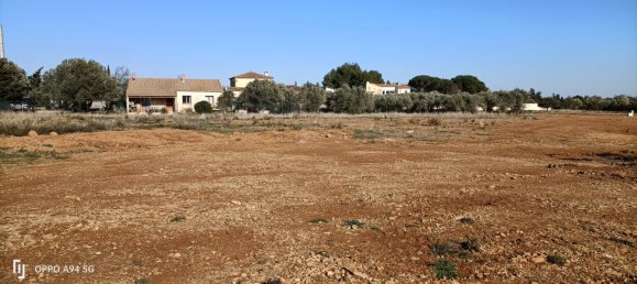 Grundstück in Ginestas, France, Nr. 104588 2