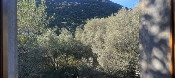 3 غرف نوم فيلا في Figari, France رقم 65546 12