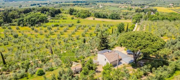 7 bedrooms Apartment in Campiglia Marittima, Italy No. 341740 34