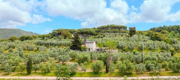 7 bedrooms Apartment in Campiglia Marittima, Italy No. 341740 31