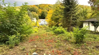 Terrain à Mauerbach, Austria No. 76095