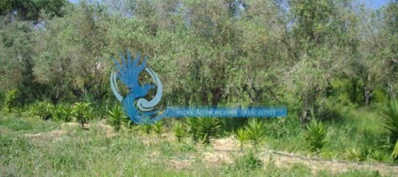 Terrain à Sesimbra, Portugal No. 138977 11