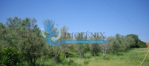 Terrain à Sesimbra, Portugal No. 138977 6