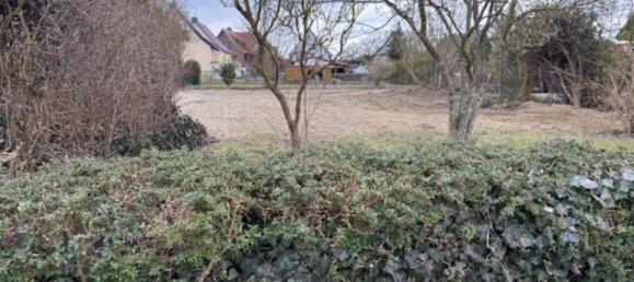 Terrain à Nordwestmecklenburg, Germany No. 137396 12