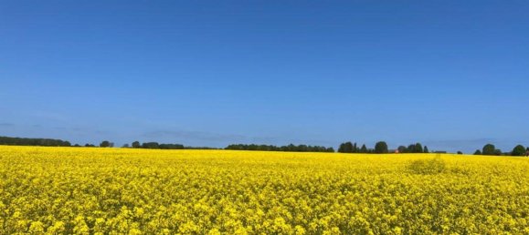 Terrain à Nordwestmecklenburg, Germany No. 137396 16