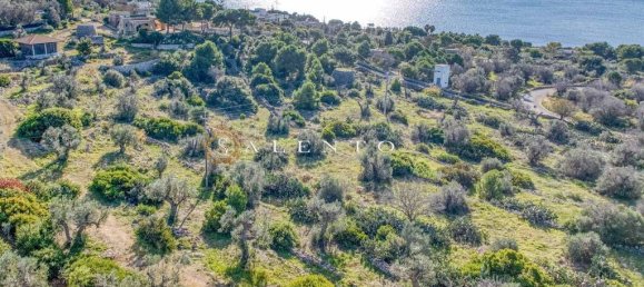 3 غرف نوم فيلا في Patù, Italy رقم 142971 34