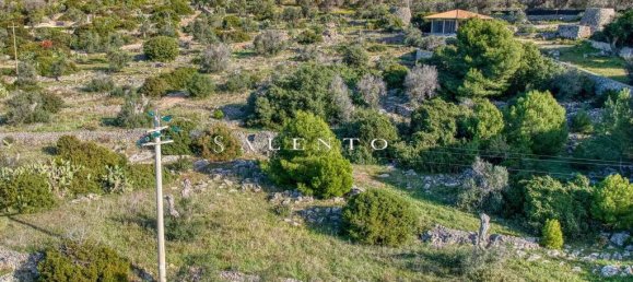 3 غرف نوم فيلا في Patù, Italy رقم 142971 38