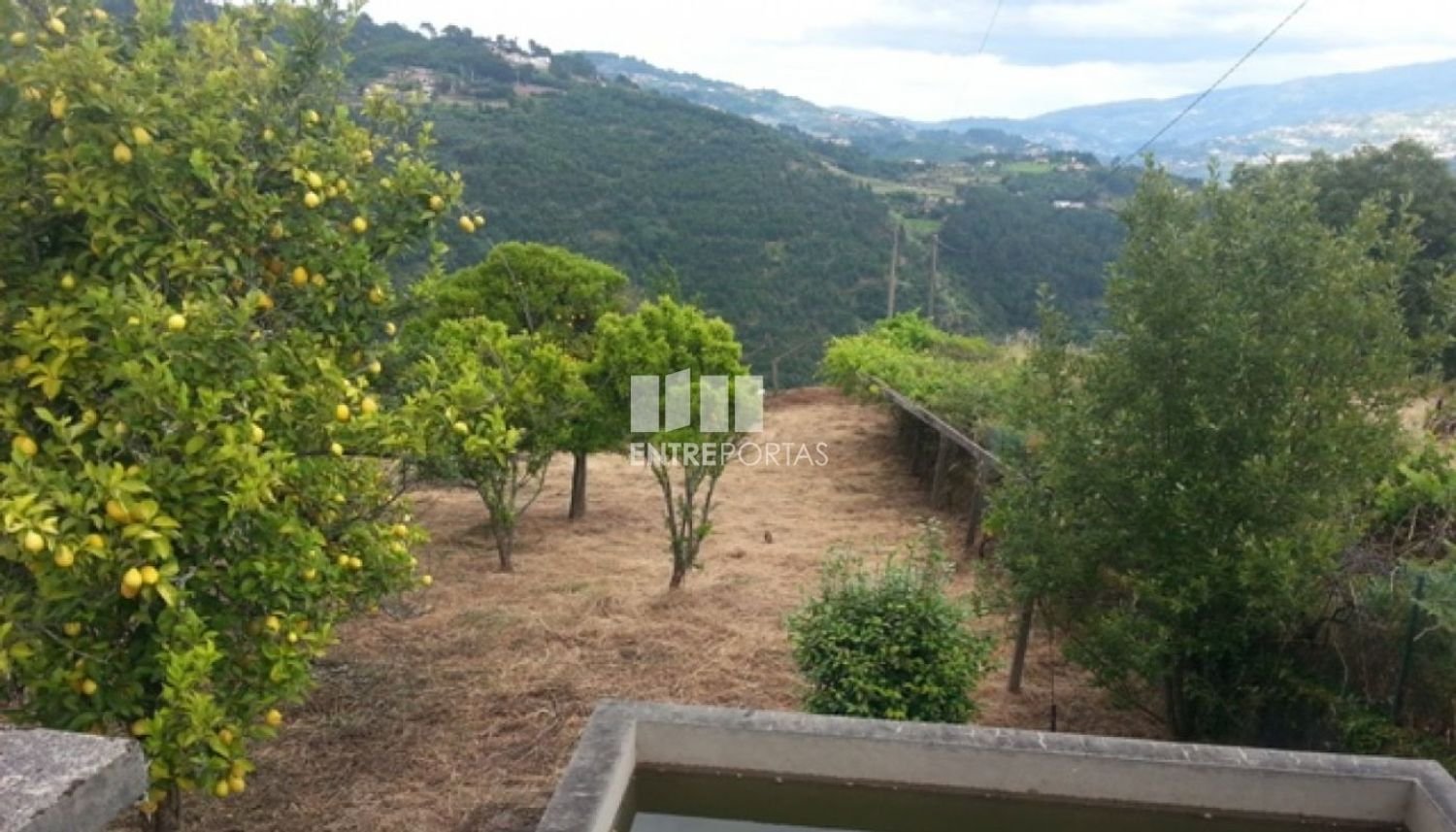 Земельный участок 2470м² в Байан, Португалия № 61799