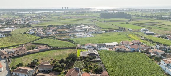 4 bedrooms House in Esposende, Portugal No. 300420 15